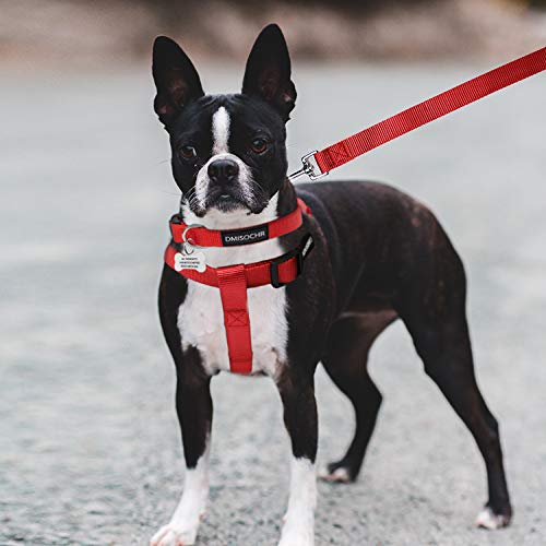 No Pull Dog Harness - Adjustable Step-in Harness & Leash Set for Small, Medium, Large Dogs - Escape Proof Soft Pet Harness...