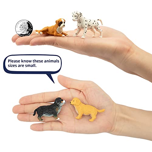 Toymany 12PCS Mini Dog Figurines Playset, Realistic Detailed Plastic Puppy Figures, Hand Painted Emulational Tiny Dogs Ani...