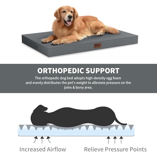 Tail Stories Outdoor Orthopedic Dog Bed, Waterproof Dog Bed for Large Dogs 36x27 Inch, Egg Crate Foam Pet Mat with Washabl...
