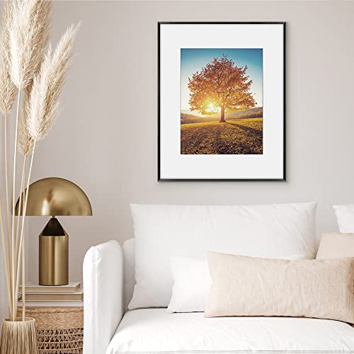 Americanflat 16x20 Metal Picture Frame with Tempered Glass - Use as 11x14 Frame with Mat or Display 16x20 Photo Without Ma...