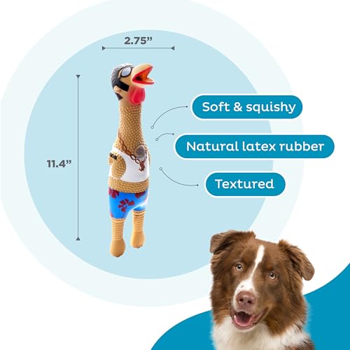Outward Hound by Charming Pet Squawkers Earl Latex Squeaky Rubber Chicken Dog Toy, Funny Interactive Holiday Toy for Dogs,...
