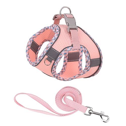 PETPUBGNZS Cute Plaid No Pull Dog Harness for Small Dogs Soft Mesh Small Dog Harness and Leash Set Easy Walk Step in Puppy...