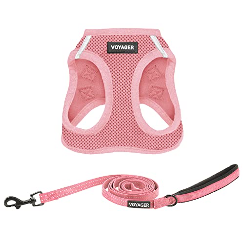 Best Pet Supplies Voyager Step-in Air All Weather Mesh Harness and Reflective Dog 5ft Leash Combo with Neoprene Handle, fo...