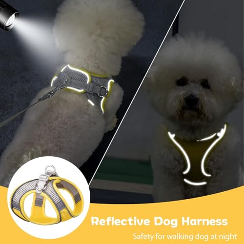 PETPUBGNZS Soft Small Dog Harness and Leash Set Mesh Puppy Harnesses Leash Easy Walk Dog Vest Adjustable Reflective No Pul...