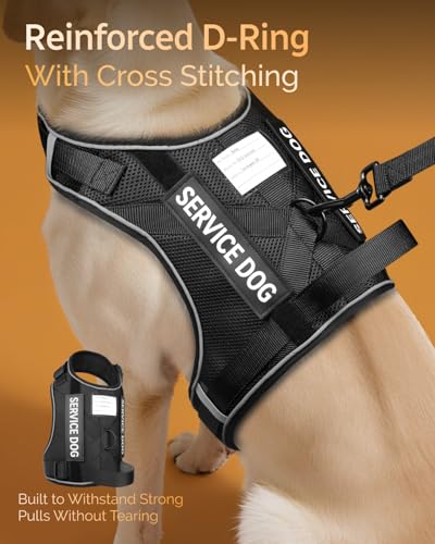 FAYOGOO Service Dog Vest for Large Dogs - Air Mesh Breathble Emotional Support Animal Vest with DIY Removable Patches - Do...