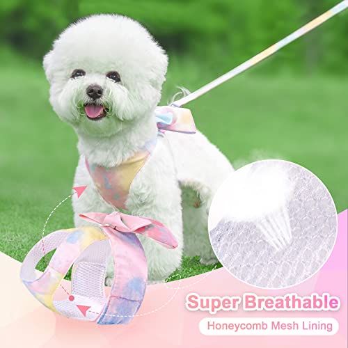 PETCARE Cute Bow Tie Dog Harness and Leash Set Elegant Rainbow Gradient Puppy Harness No Pull Soft Mesh Pet Cat Dog Vest H...