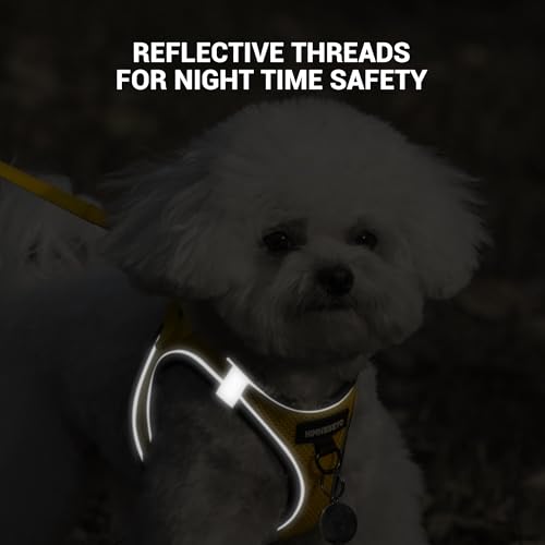 Dog Harness and Leash Set, Dog Harness for Dogs No Pull, No-Chock Step-in Reflective Breathable Lightweight Easy Walk Vest...