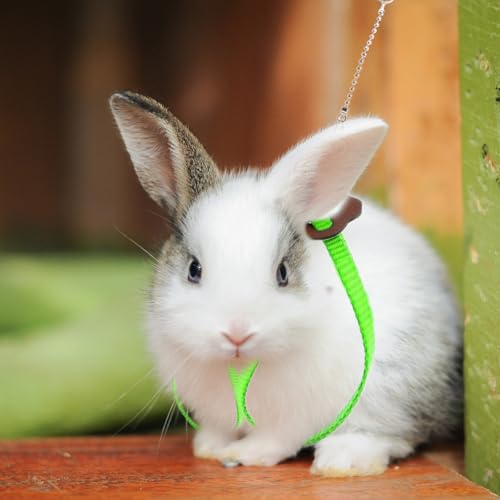 HOKABLE 2 Pack Adjustable Hamster Leash Harness for Harness for Ferret Baby Rabbit Hamster Rat Mouse Leash Lead with Bell...