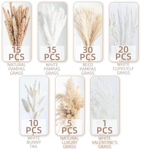 96PCS Natural Dried Pampas Grass Boho Home Decor Bouquet Phragmites Dried Flowers Bouquet for Wedding Floral Arrangements ...