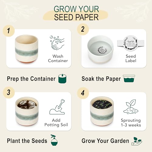 Hyggelight - The Growing Candle, Sandalwood & Vanilla Scented, 8.5oz Ceramic Pot, Aromatherapy Candles for Home, 100% Soy,...
