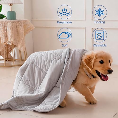 Popfavor Pet Cooling Mat for Dogs Cats Summer Self Cooling Pad,Extra Large Dog Cooling Mat, Q-Max>0.4,Cooling Fabric Washa...