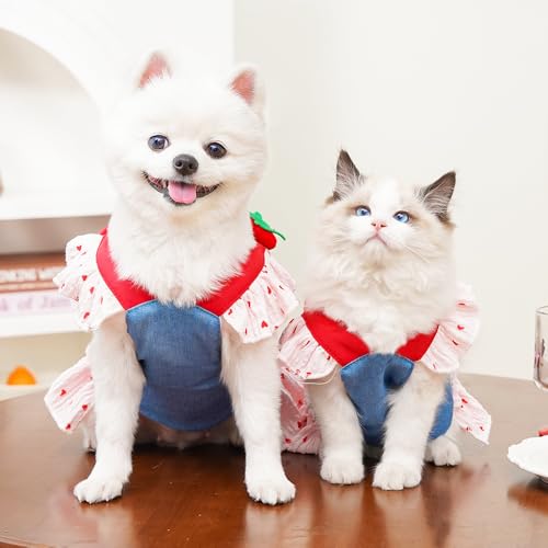 ANIAC Denim Dog Dress Harness with Leash Set Cute Small Dogs Clothes Girl Heart Patterns Puppy Dresses Breathable Mesh Cat...