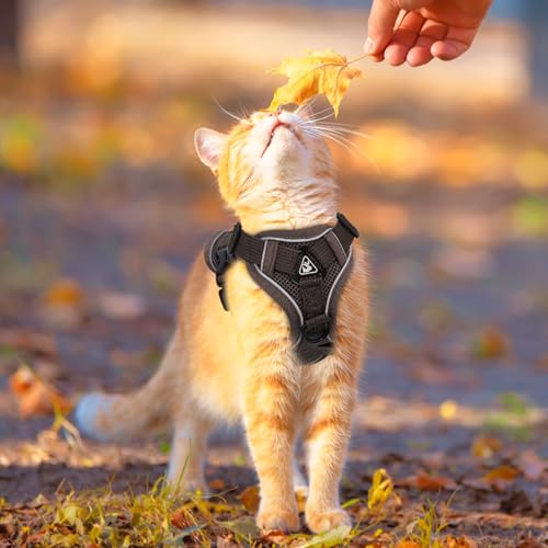 Cat Harness and Leash for Walking Soft Cat Harness Escape Proof, Adjustable Kitten Harness Cat Leash Reflective Strips Jac...