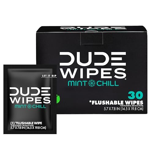 DUDE Wipes On-The-Go Mint Chill Travel Wipes - 30 Count (Individually Wrapped) - Extra-Large Adult Flushable Wipes - Infus...