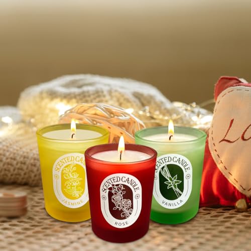 Scented Candles Gift Set of 12 Pack, Glass Jar Candles for 6 Scented, Long Lasting Soy Wax Aromatherapy Candle Set, Best G...