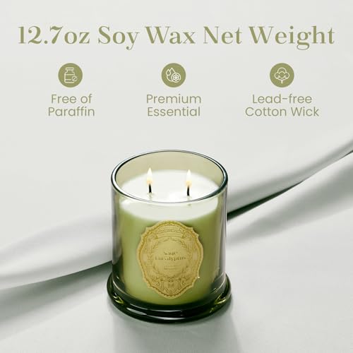 M&SENSE Sage Eucalyptus Candles for Home Scented, 2 Wick 12.7oz Soy Wax Candles Non Toxic,70 Hours Long Burning,Christmas ...