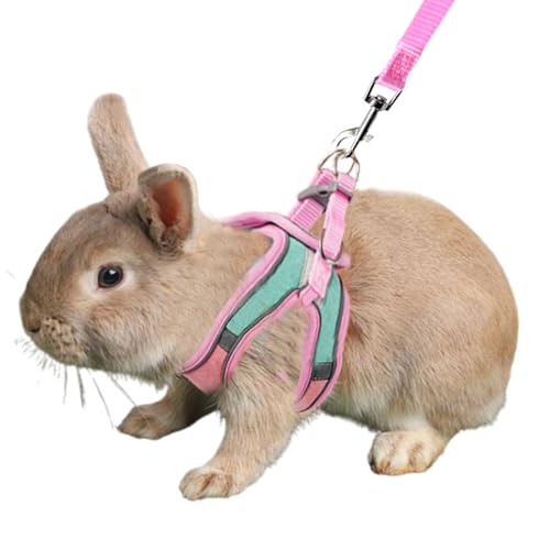 Anelekor Bunny Harness and Leash Set Reflective Strip Kitten Vest Harness Escape Proof Rabbit Leash Walking Pet Accessorie...