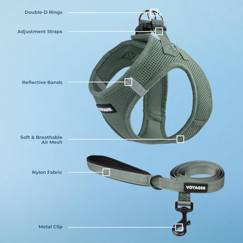 Best Pet Supplies Voyager Step-in Air All Weather Mesh Harness and Reflective Dog 5ft Leash Combo with Neoprene Handle, fo...