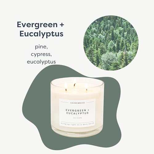 Calyan Wax Co. Evergreen & Eucalyptus 3 Wick Scented Candle - 43 Hour Burn - Luxury 3 Wick Soy Candles - Clean Soy Wax Can...