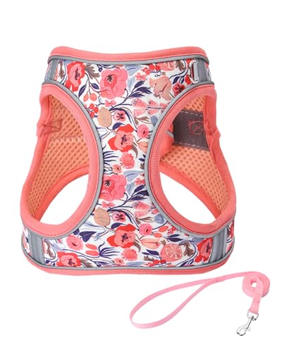 JUFOO S Peach Flower Pattern Dog Harness and Leash Set,No Escape Puppy Harnesses for Training Walking，Breathable Adjustabl...