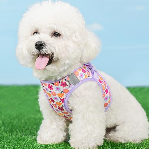 Small Dog Harness and Leash Set, Step in Dog Harness No Pull for Walking Running Training, Puppy Essentials for Dogs Cat B...