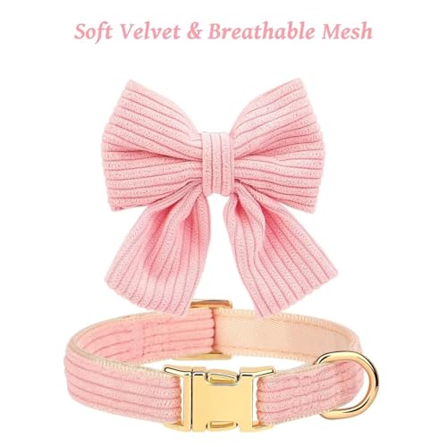 Dog Collar and Leash Set with Bowtie, Soft & Cute Puppy Collar, Cotton Puppy Collar with Adjustable Metal Buckle for Smal...