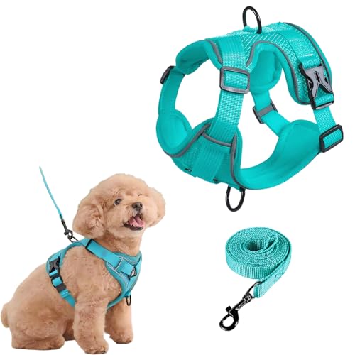 SOLMOONY Small Dog Harness,Soft Mesh Puppy Harness and Leash Set,No Escape Cat Harnesses for Training Walking,Reflective A...