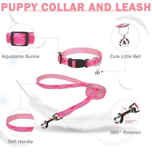 SCENEREAL Small Dog Harness and Leash Collar Set, Step in No Pull Soft Mesh Dog Harnesses for Small Medium Sized Dogs Pupp...