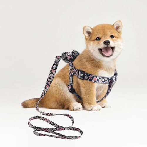 QQPETS Dog Harness Leash Set Adjustable Heavy Duty No Pull Halter Harnesses for Small Medium Large Breed Dogs Back Clip An...