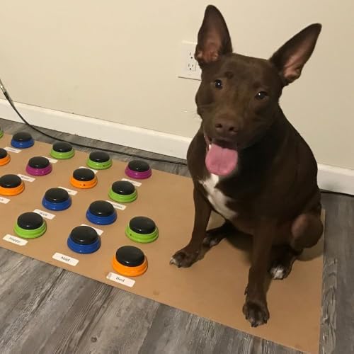 Hunger for Words Talking Buttons Starter Set - Recordable Buttons to Teach Your Dog to Communicate, Dog Training Games, Pl...