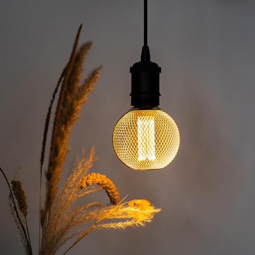 Harwez Decorative LED Light Bulb, Golden Metal Mesh Cover, E26 Medium Base, LED Lights for Bedroom Floor Lamp, Ceiling Lig...