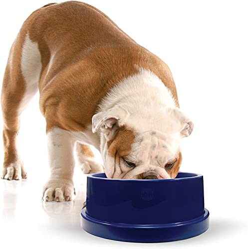 K&H Pet Products Coolin' Dog Water Bowl, Summer Cooling Water Bowl for Small, Medium & Large Dogs & Cats, Indoor Outdoor I...