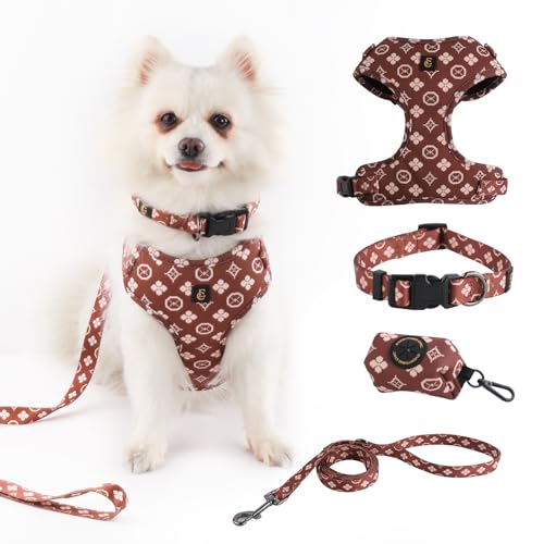 Adjustable Dog Harness, Leash, Poop Bag Holder/Dispenser and Bandana Set, No Pull, Soft Mesh Padded, for Small/Medium Dog...