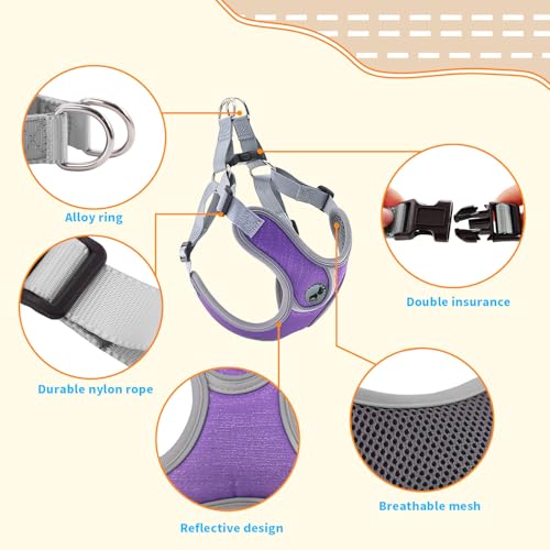 Dog Harness with Leash Set, No Pull Adjustable Step in Collars Harness with Breathable Padded Vest for Small Dogs Training...