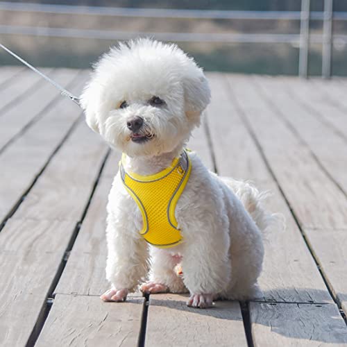 Small Dog Harness and Leash Set, No-Pull Reflective Puppy Harness for Outdoor Walking, Breathable Mesh Girl Cats Vest for ...