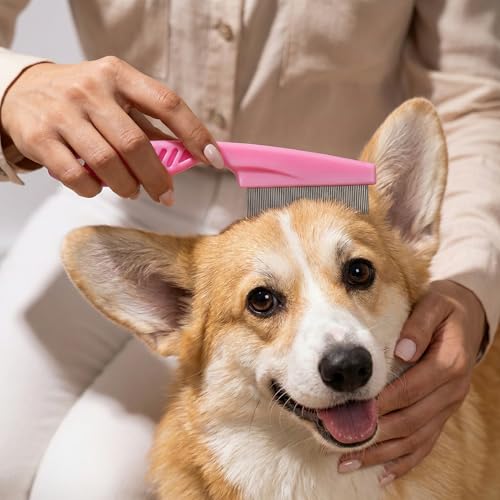 Haminway 8-Piece Dog Grooming Kit – Pink | Pet Brush Set for Shedding, Dematting, Nail Clipping & Bathing | Ideal for Smal...