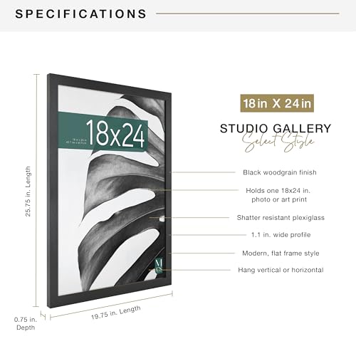 MCS Studio Gallery 18x24 Poster Frame Black Woodgrain Engineered Wood, Vertical & Horizontal Wall Hanging Large Picture Fr...