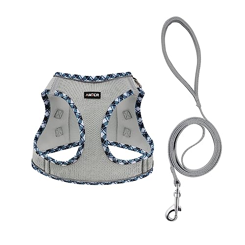 AMTOR Small Dog Harness with Leash Set, No Escape Easy Walk Puppy Harnesses for Training Walking, Step-in Reflective Soft ...