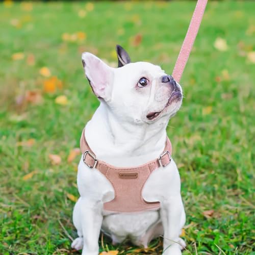 Dog Harness and Leash Set, XXS No Pull Adjustable Puppy Harness with Multifunction Pink Dog Leash and Dog Collar, Soft No ...