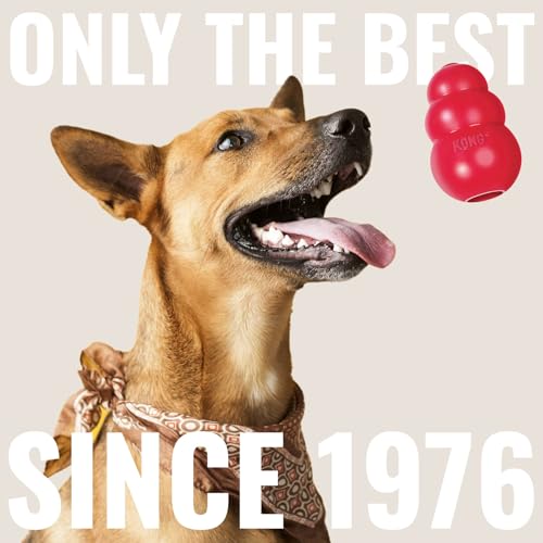 KONG Cozie Marvin Moose & SqueakAir Balls (3 Pack) - Dog Fetch & Chew Toys for Fun - Soft Toy Moose for Indoor Play - Dura...