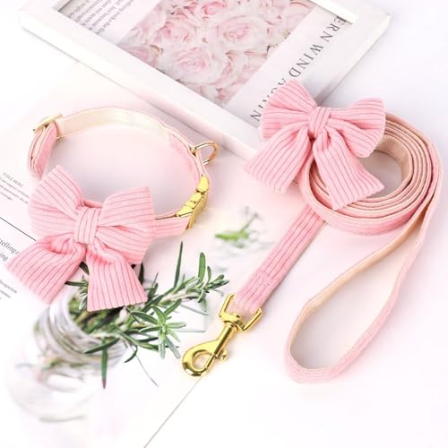 Didog Cute Dog Collar and Leash Set with Bowtie, Girl Dog Collars Metal Buckle Adjustable for Small Medium Dogs(Pink, S)