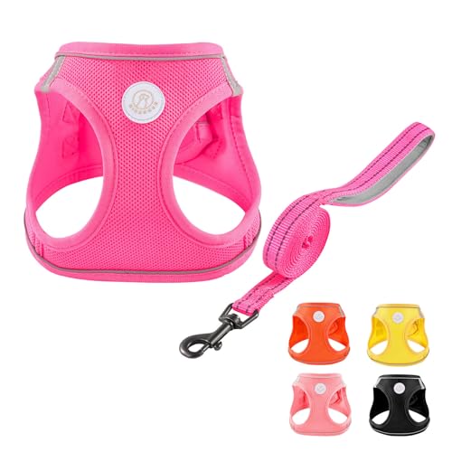 HIHANHAN Soft Mesh Dog Harness and Leash Set, No Pull Puppy Harness and Leash Set, Reflective Step in Harness for Small Me...