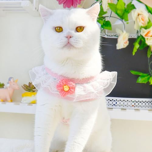 Cat Harness Collar and Leash Set, Sweet Lace Floral Kitten Collar, Escape Proof Puppy Chest Harness, Adjustable Cute Harne...