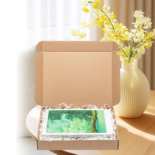 Wowxyz Shipping Boxes 12x9x2" 30 Pack - Brown Corrugated Cardboard Mailing Box for Small Business, Kraft Medium Literature...