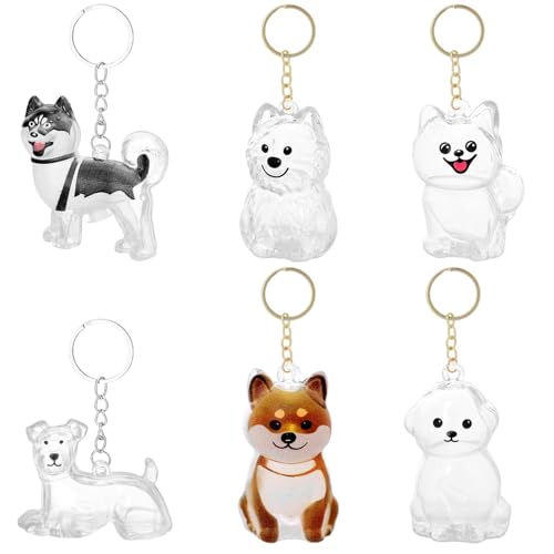 6pcs Dog Hair Storage Keychains, 6 Types Cute Clear Dog Hair Keepsake Keychain with Gold Keyring Pet Fur Storage Collectio...