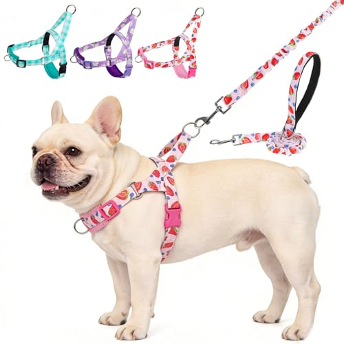 EXPAWLORER No Pull Small Dog Harness and Leash Set, Adjustable Soft Breathable Mesh Puppy Vest with Padded, Quick Fit Esca...