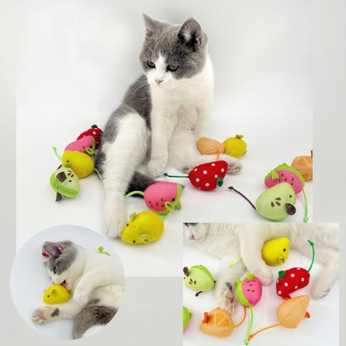 Haourlife Catnip Cat Mice Toys Interactive Mouse Cat Toy for Indoor Adult Cats Kitten Kitty Baby Cat Chew Exercise Toy Fru...
