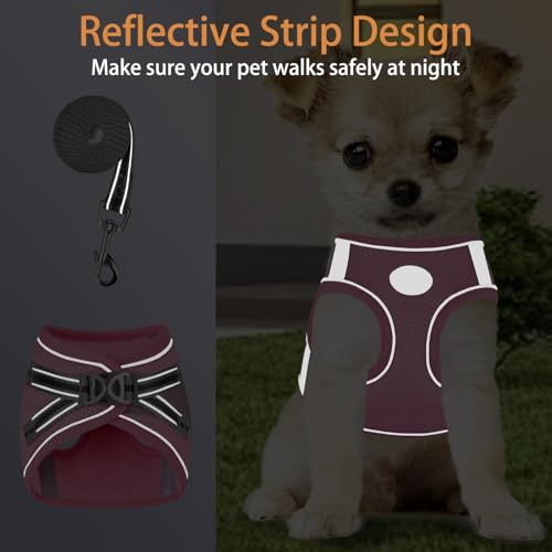 Small Dog Harness and Leash Set, Step-in Puppy Vest with Breathable Soft Padded Mesh, Walking Reflective Pet Harness for S...
