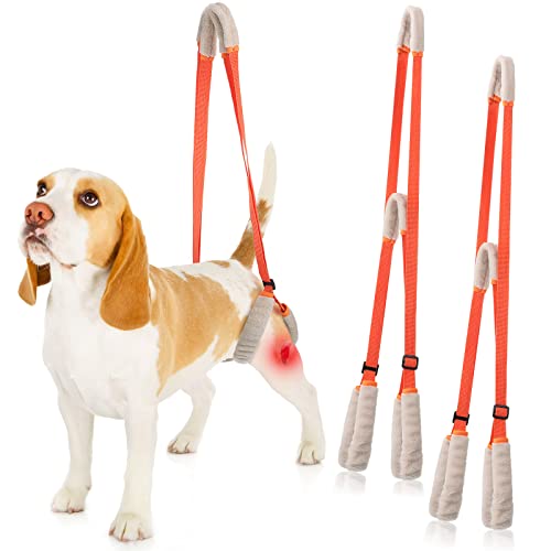 Mixweer 2 Pcs Dog Support Harness for Back Legs Dog Rear Lifting Sling Aid with Handle and Shoulder Strap Hind Leg Support...