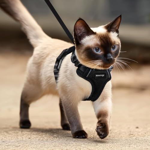 Cat Harness and Leash for Walking, Cat Car Harness, Escape Proof Soft Adjustable Vest Harnesses for Cats, Easy Control Bre...